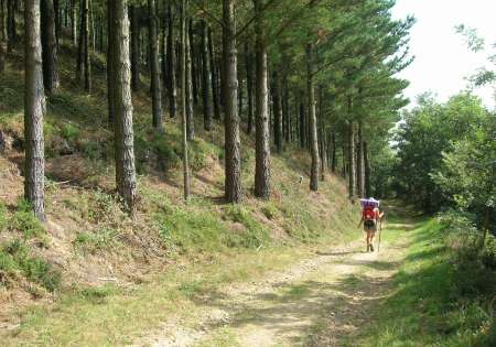 Camino Primitivo